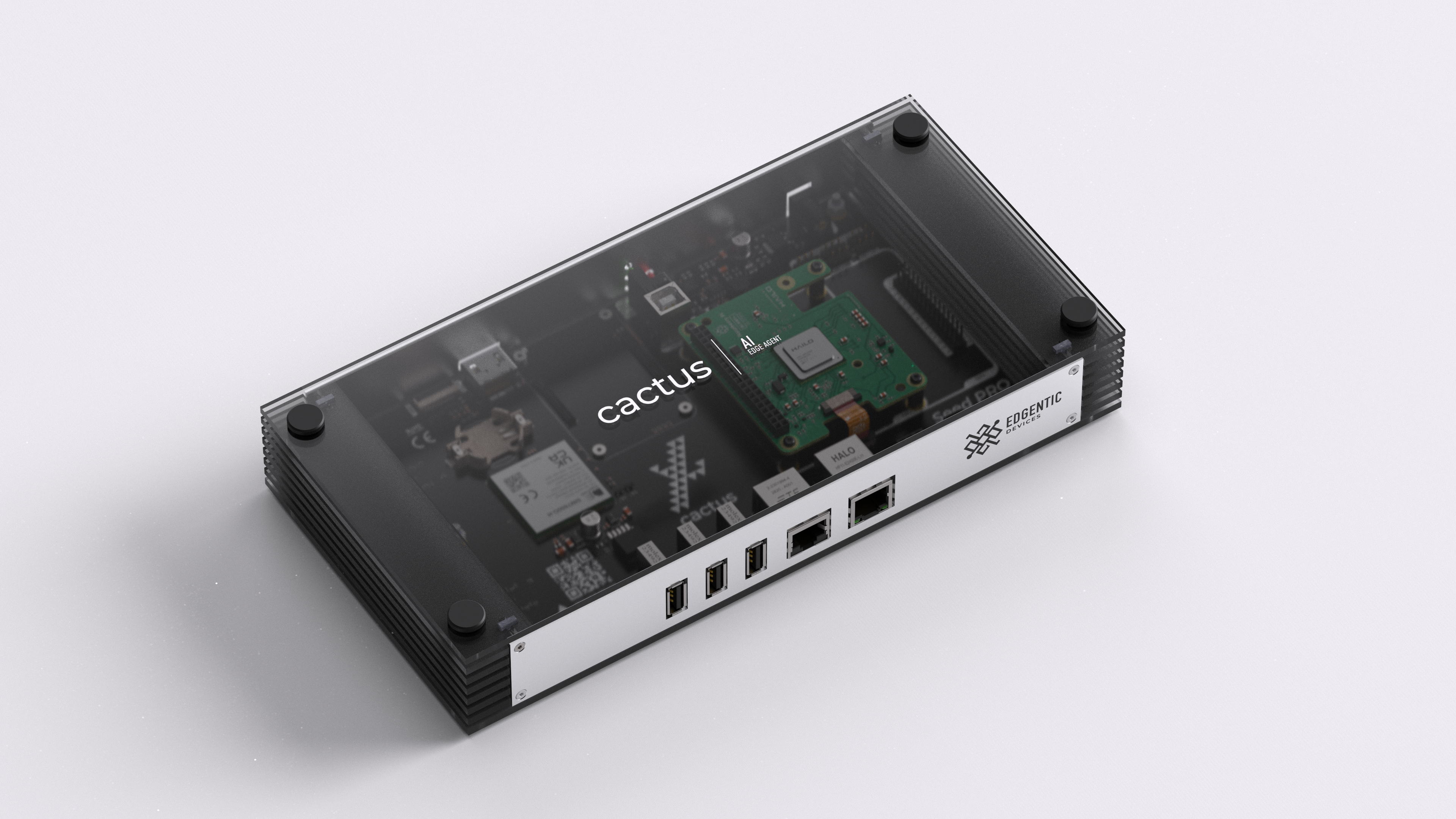 Cactus IoT - image 2