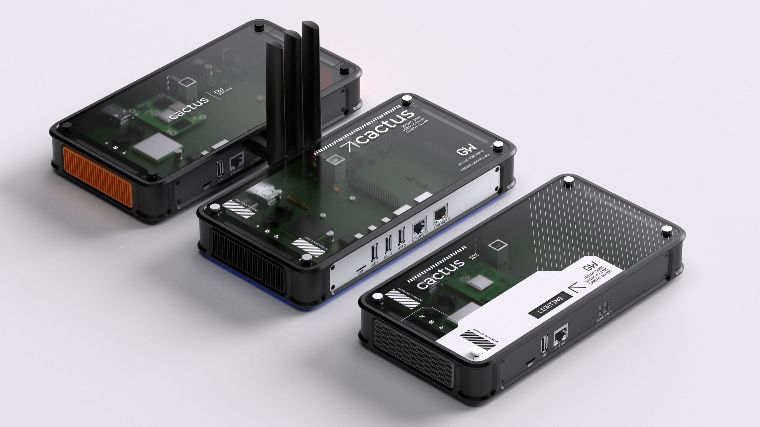 Cactus IoT - image 1