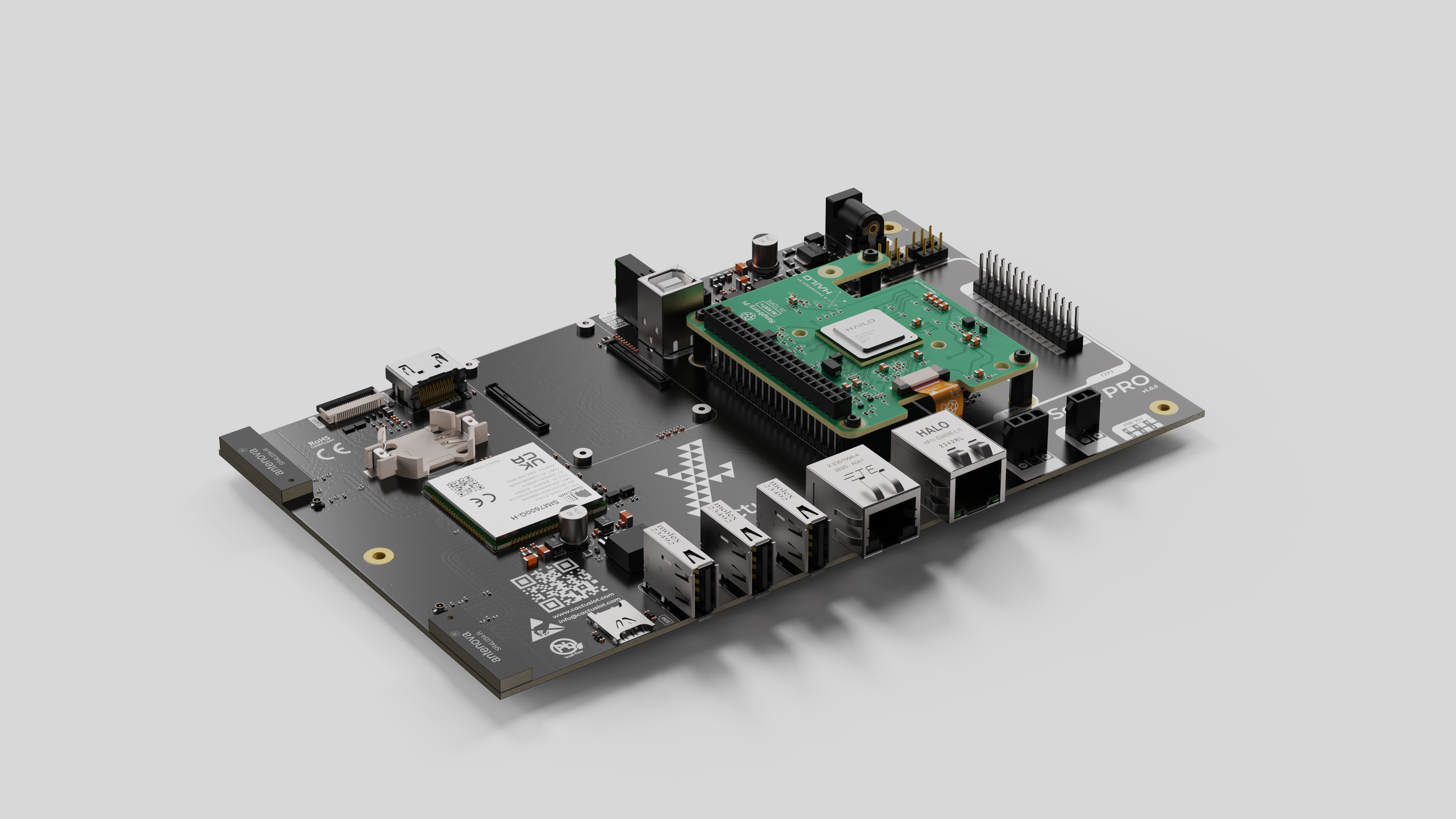 Cactus IoT - image 1