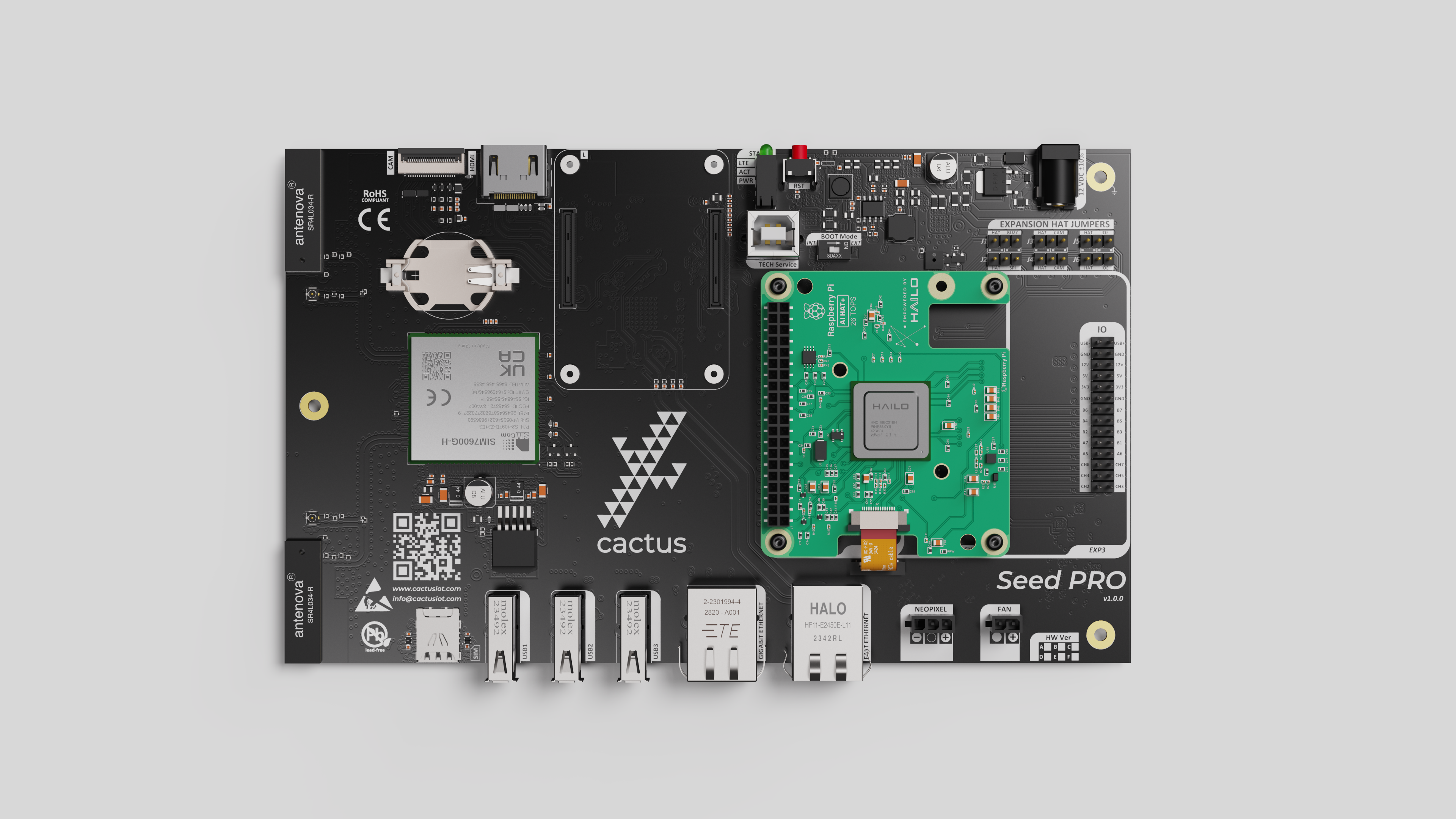 Cactus IoT - image 2