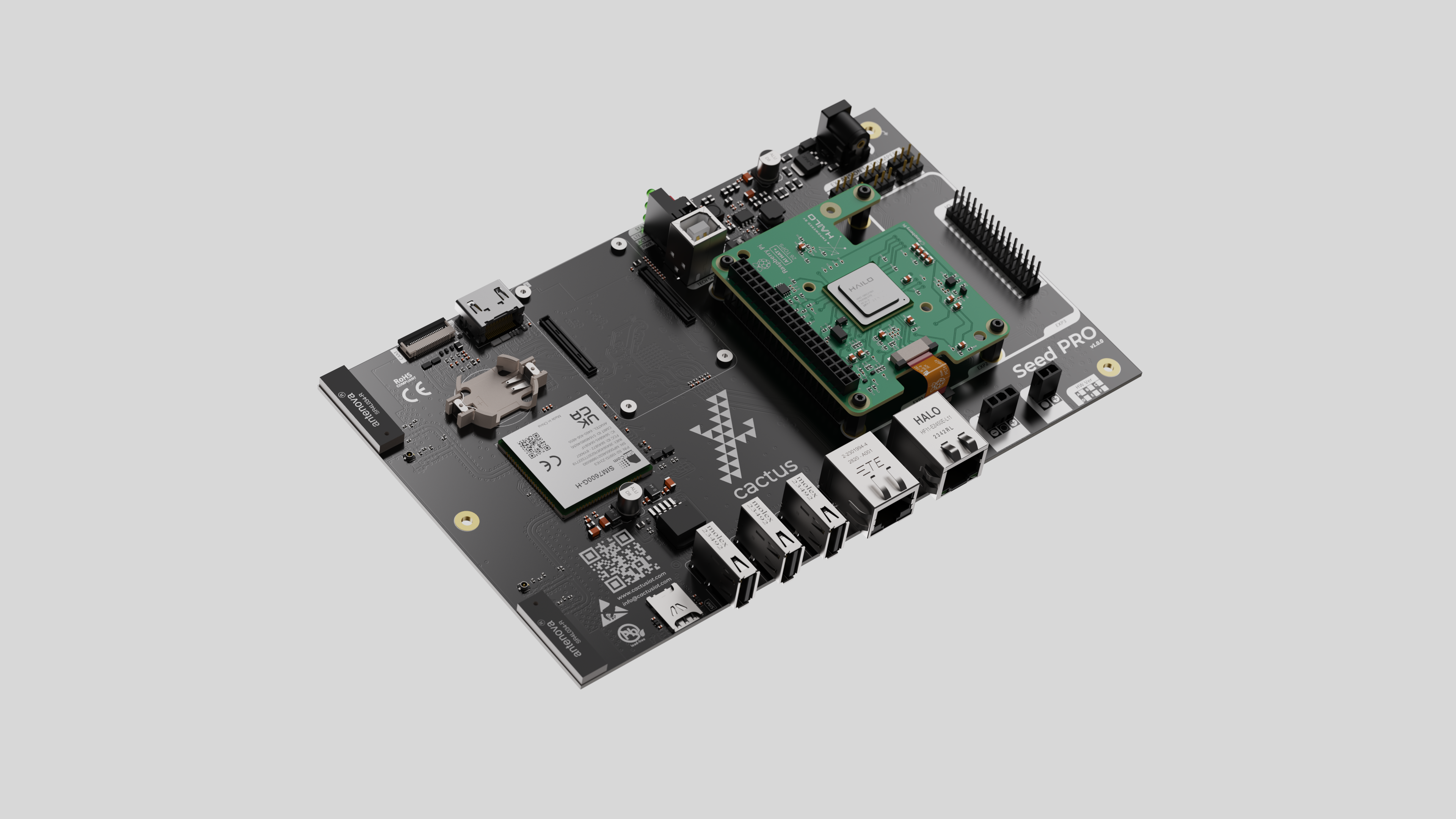 Cactus IoT - image 3