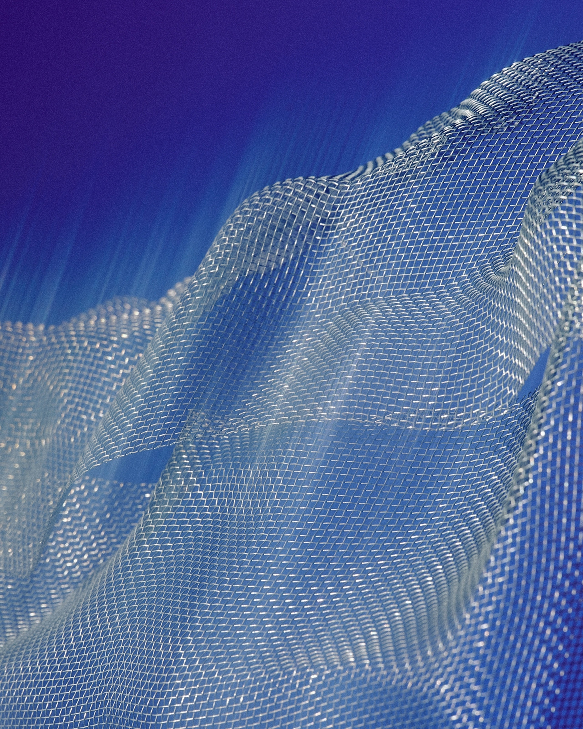 Projecte 1 - image 3